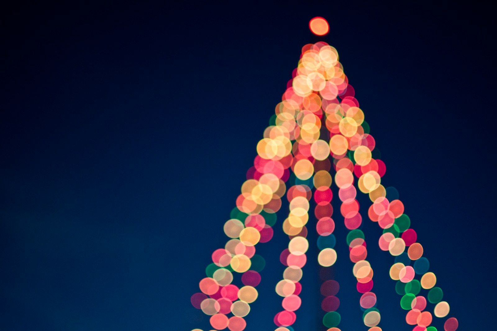 multicolored bokeh lights